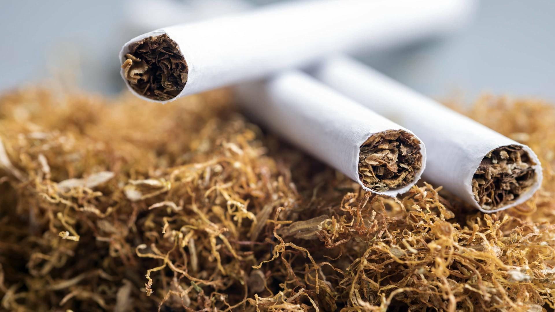Nicotine - A Drug with a Future 2020 movie scene