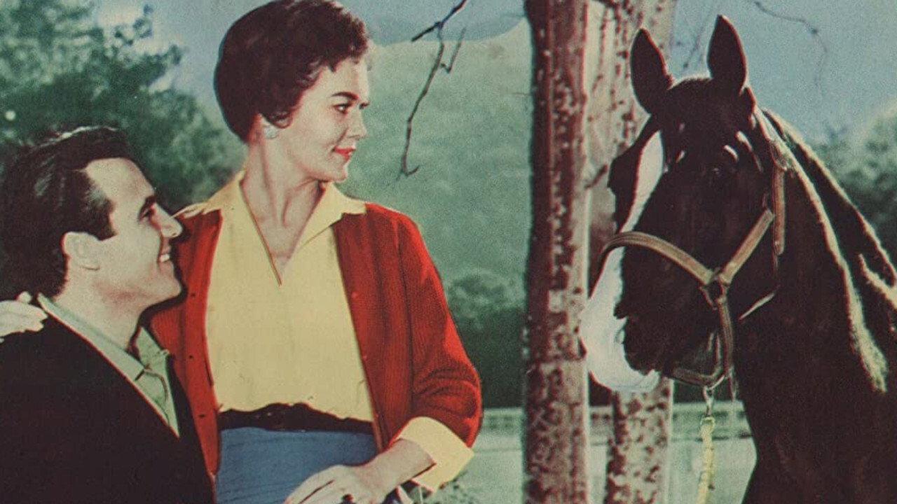 The Sad Horse 1959 movie scene