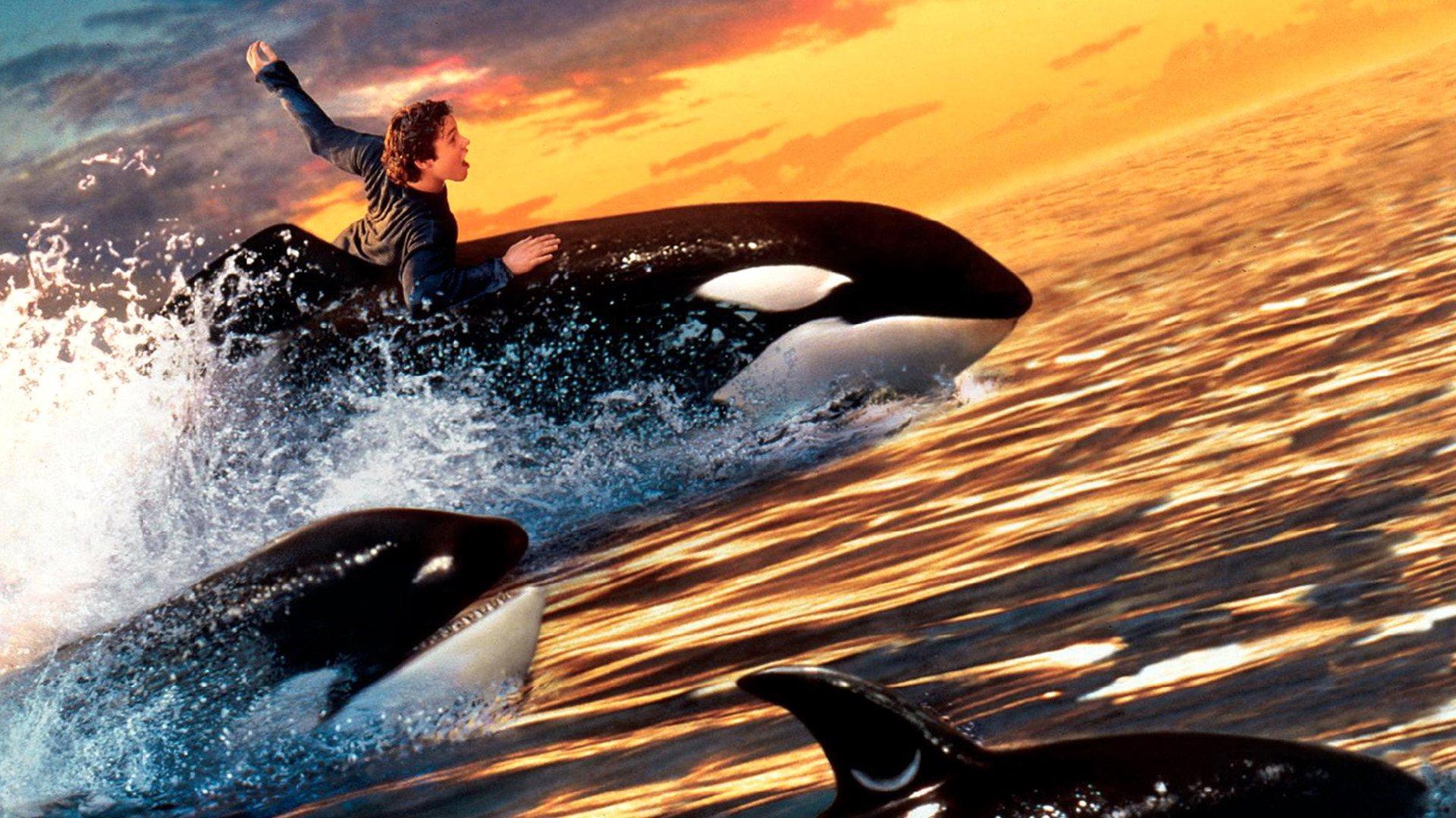 Free Willy 2: The Adventure Home 1995 movie scene