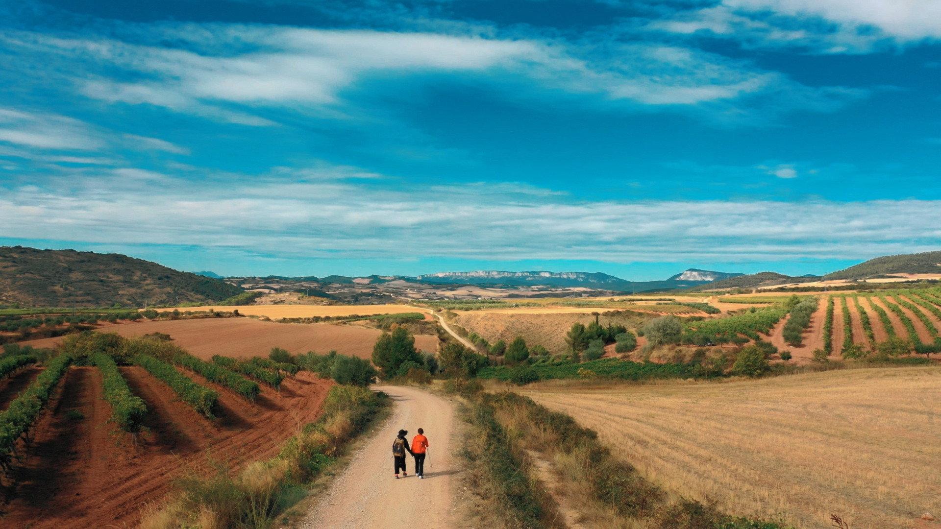 Buen Camino 2020 movie scene