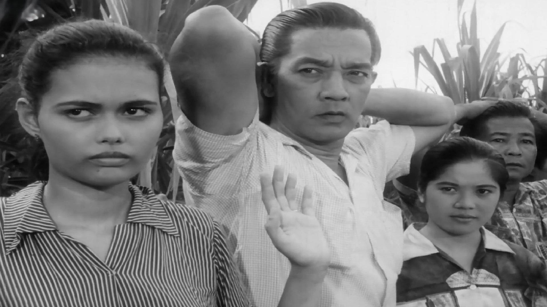 The Moises Padilla Story 1961 movie scene