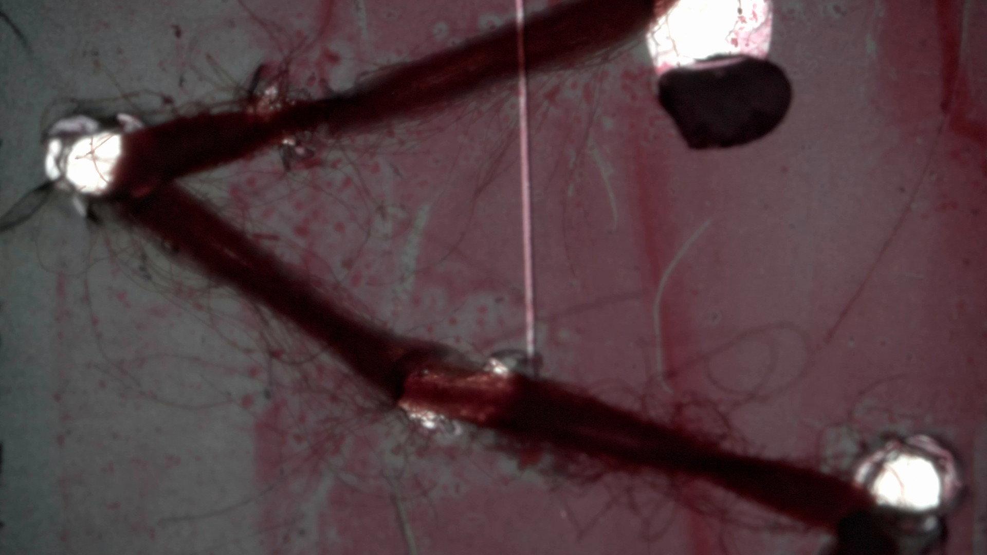 Flesh in Turmoil 2023 movie scene