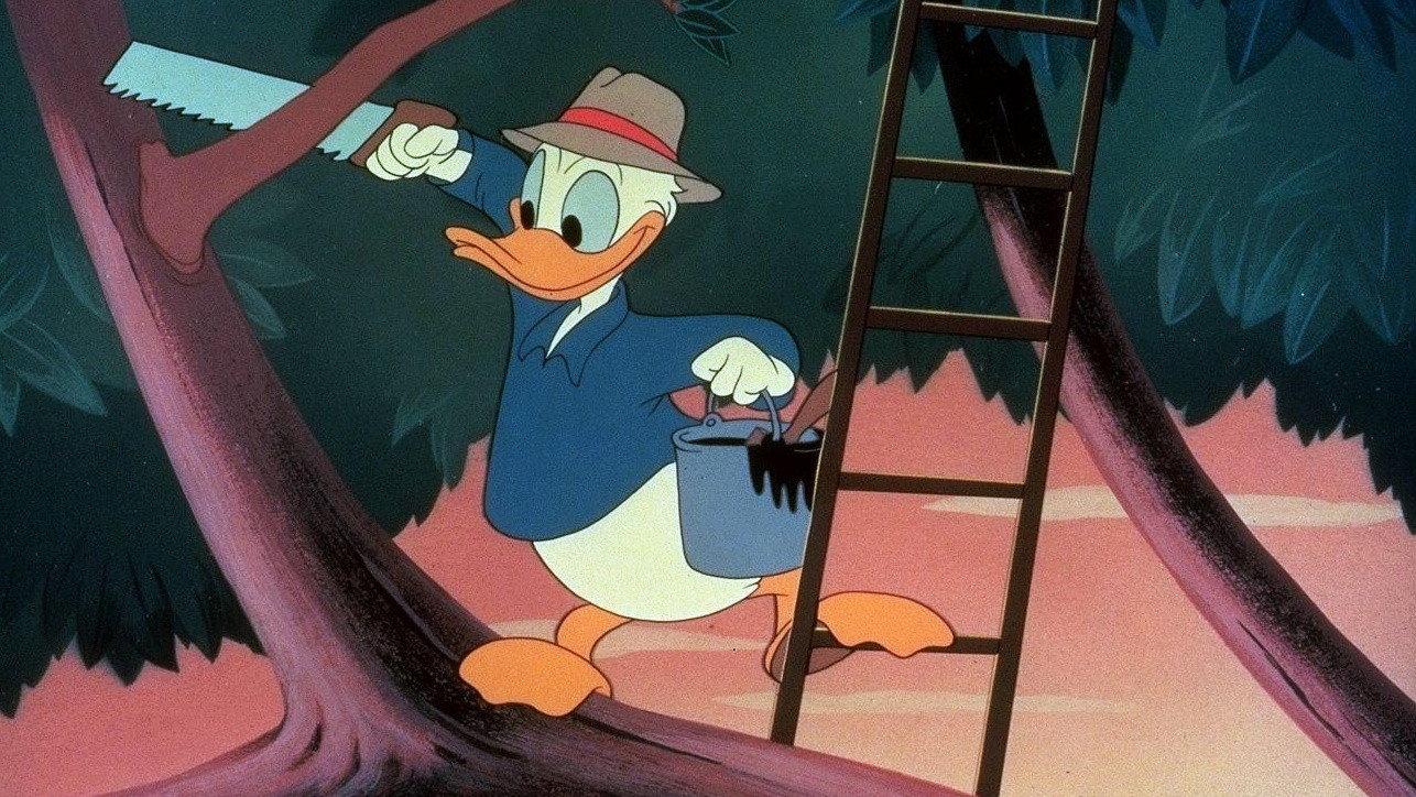 Out on a Limb 1950 movie scene