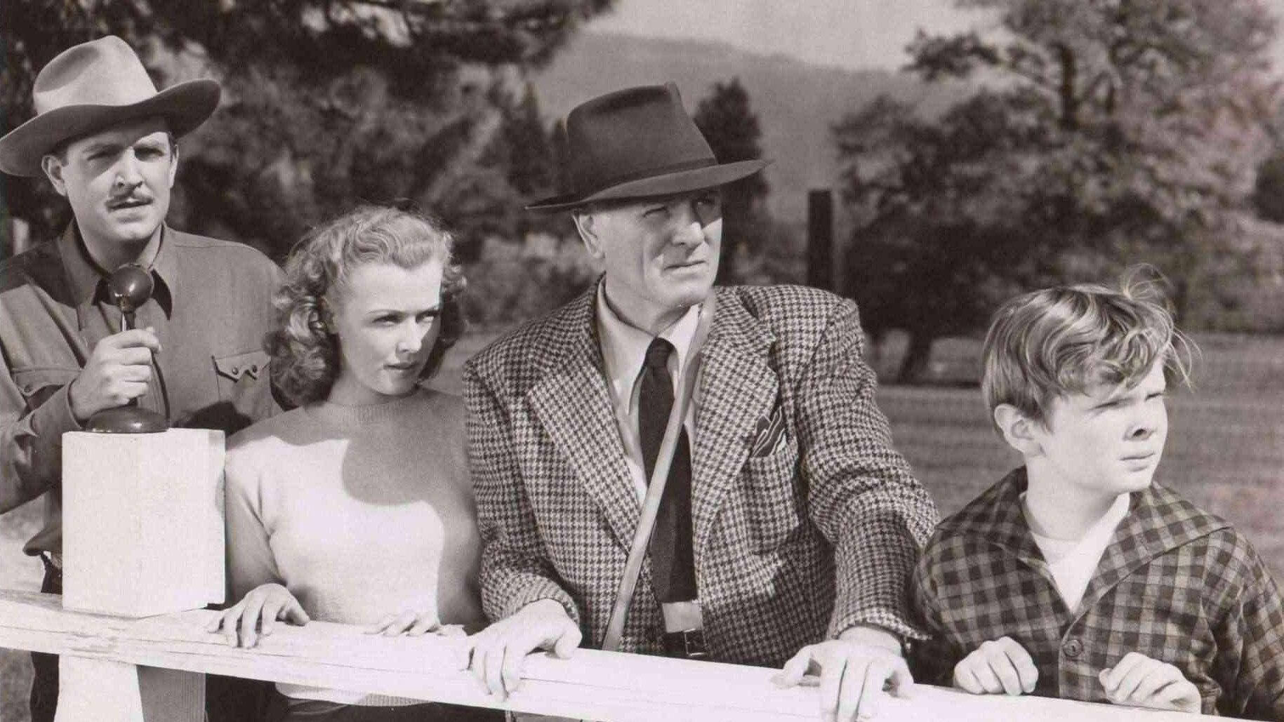 The Red Stallion 1947 movie scene
