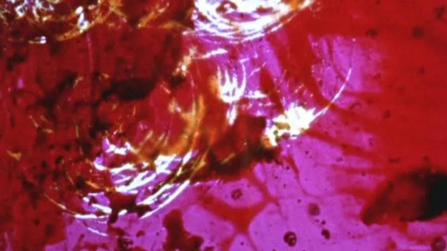The Domain of the Moment 1977 movie scene