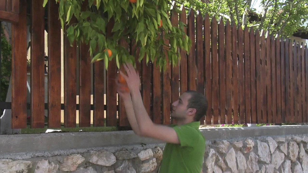 Oranges 2009 movie scene