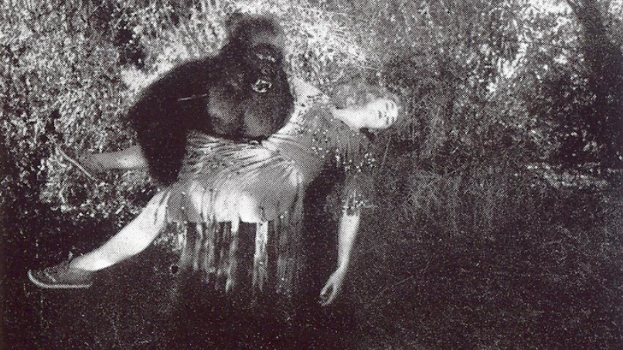 The Devil Bear 1929 movie scene
