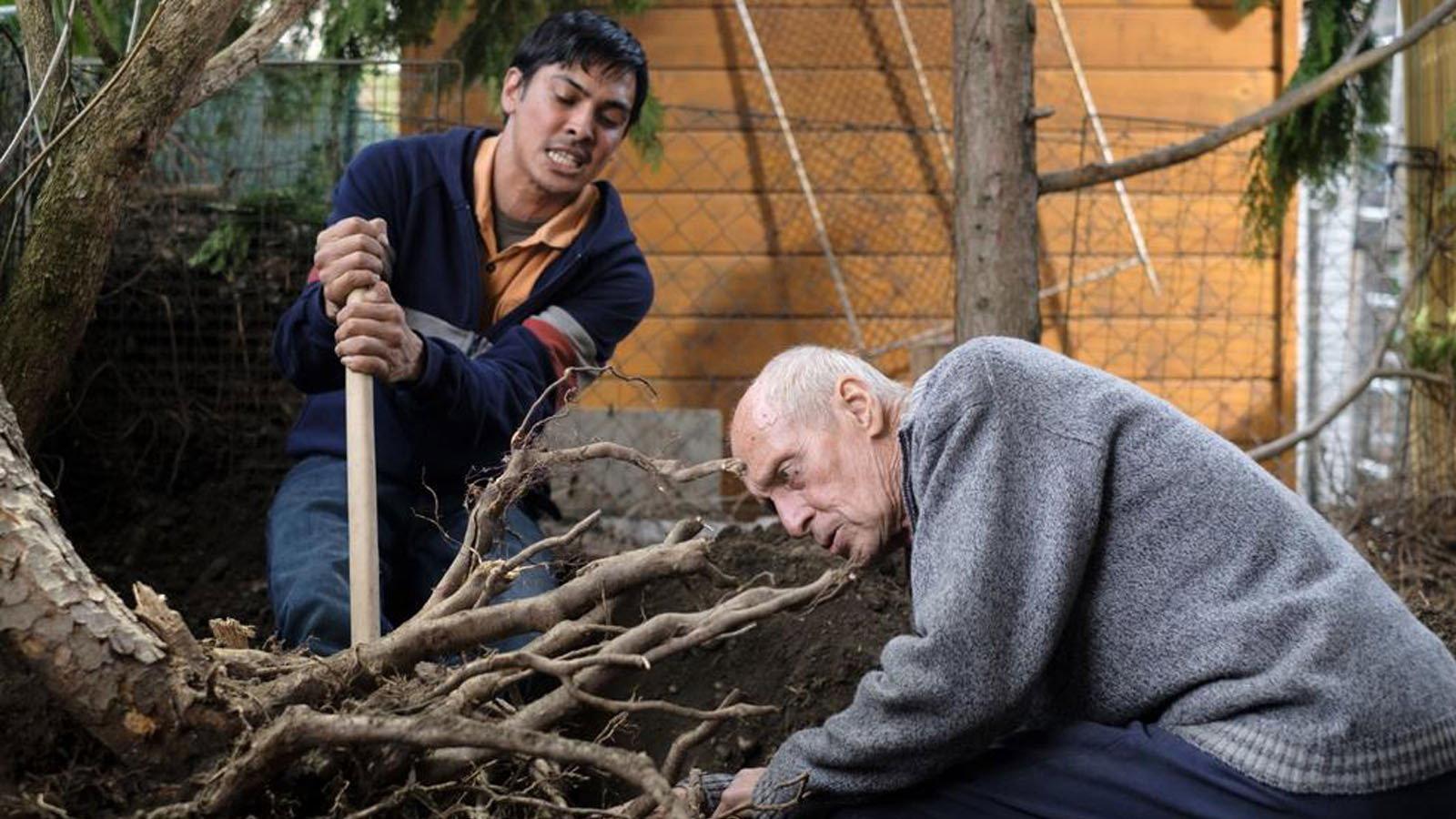Nobadi 2019 movie scene