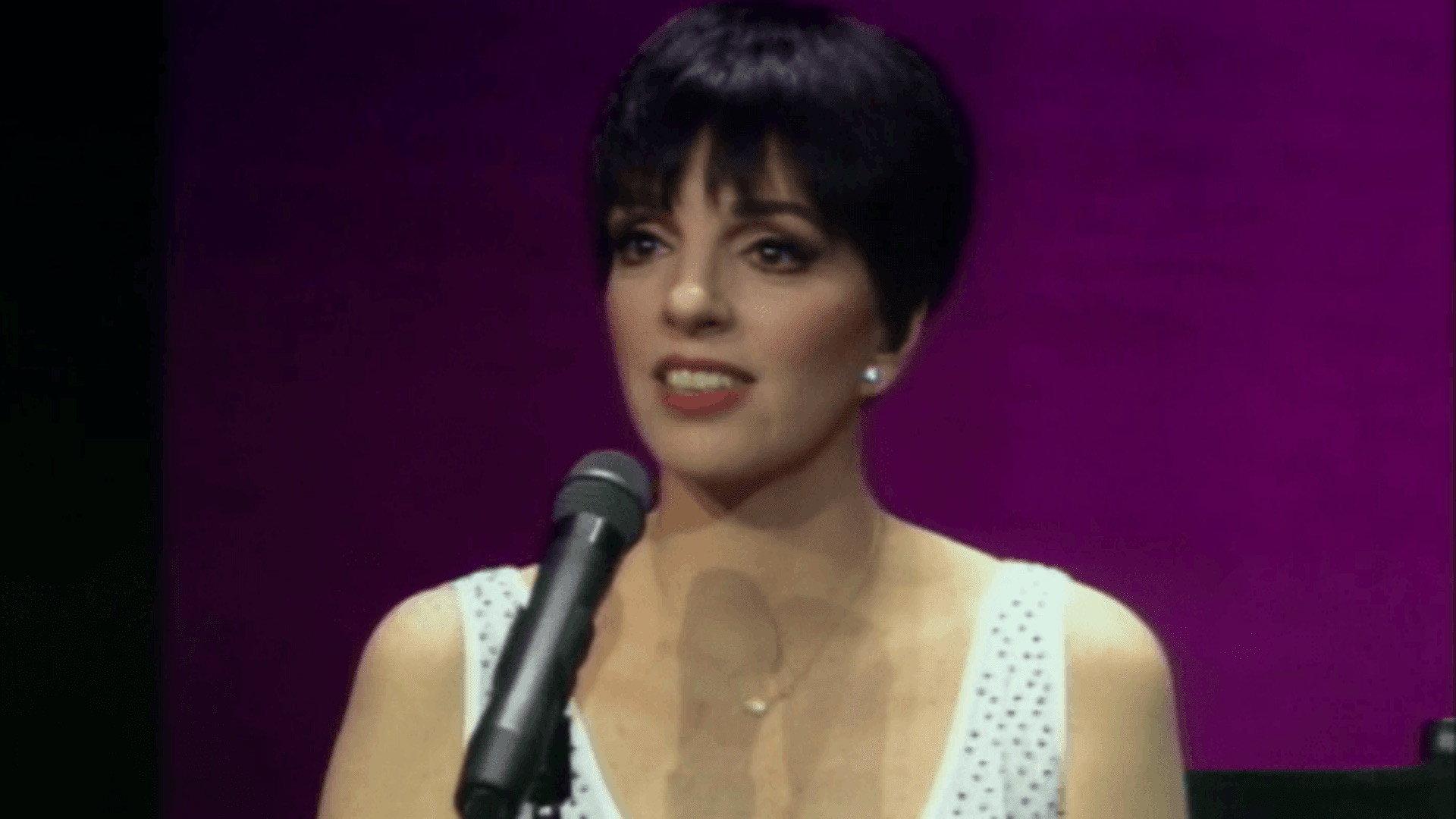 Liza Minnelli - Live from Radio City Music Hall 1992 movie scene