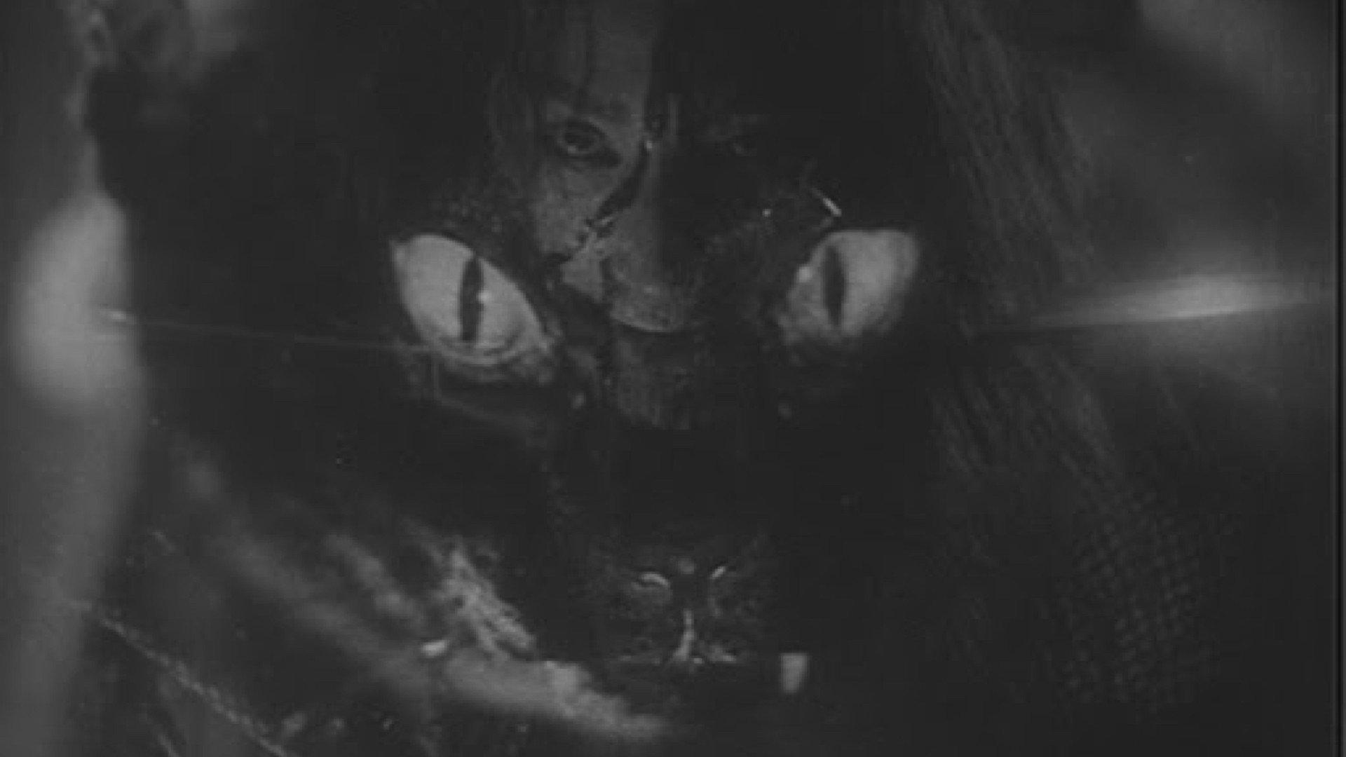 Ghost Cat of Nabeshima 1949 movie scene