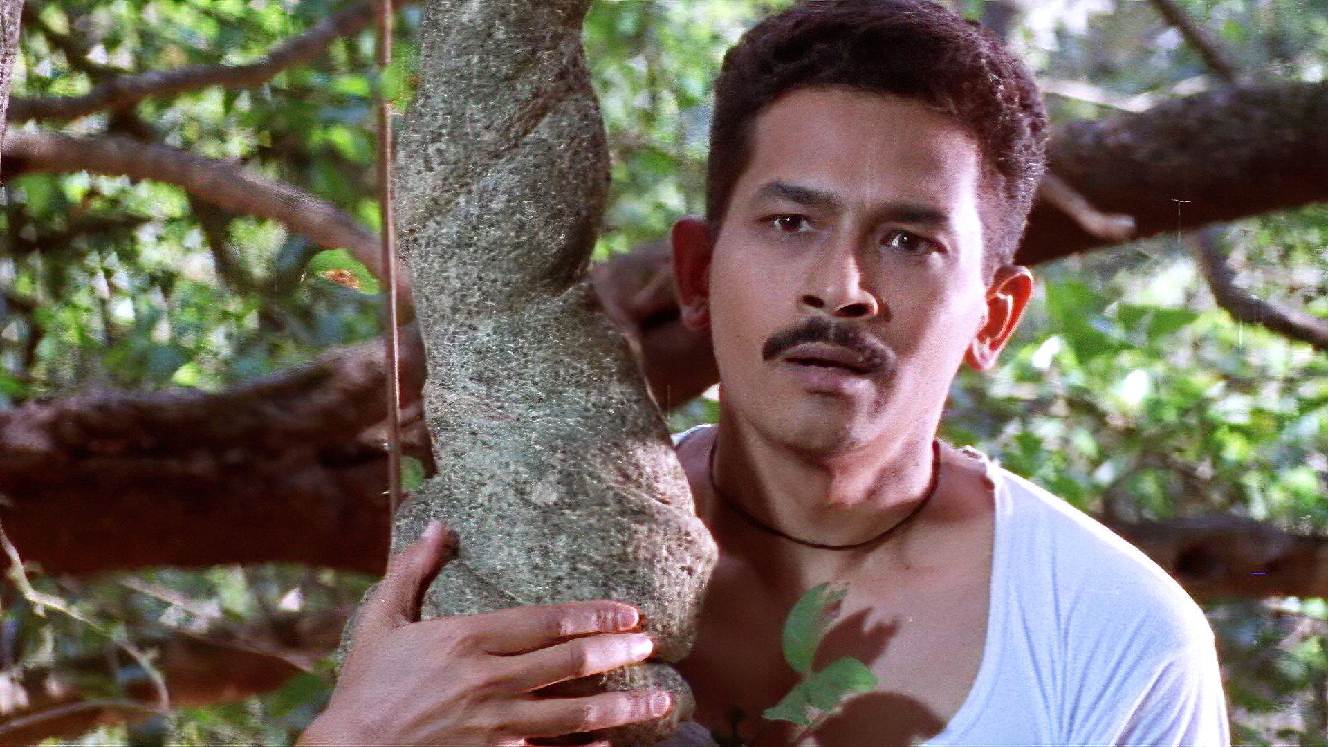 The Sacred Grove 2004 movie scene