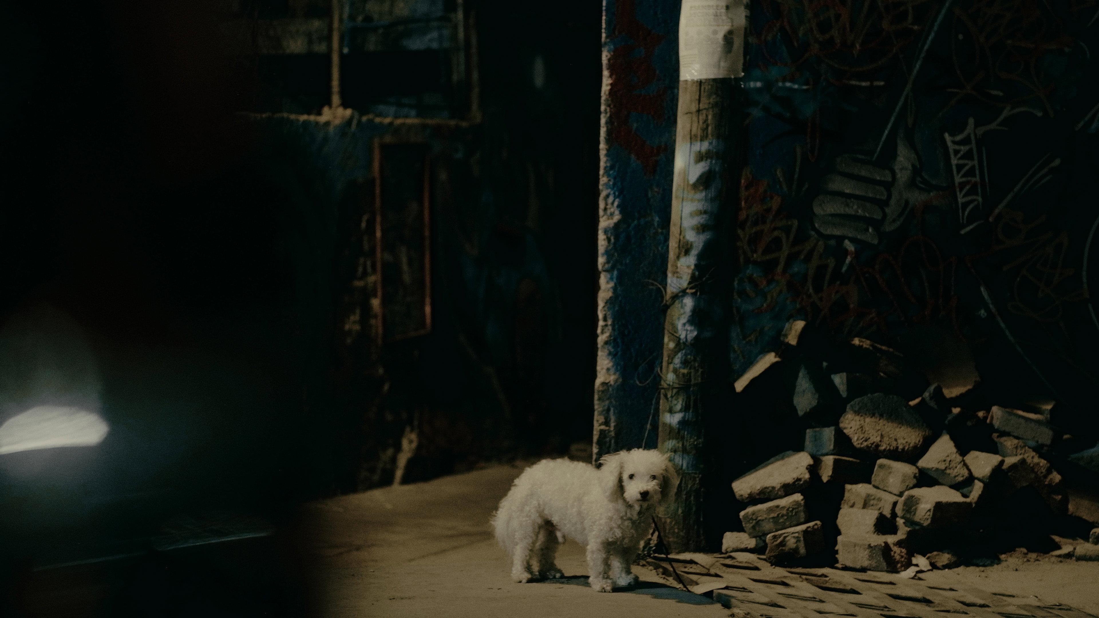 Demian 2026 movie scene