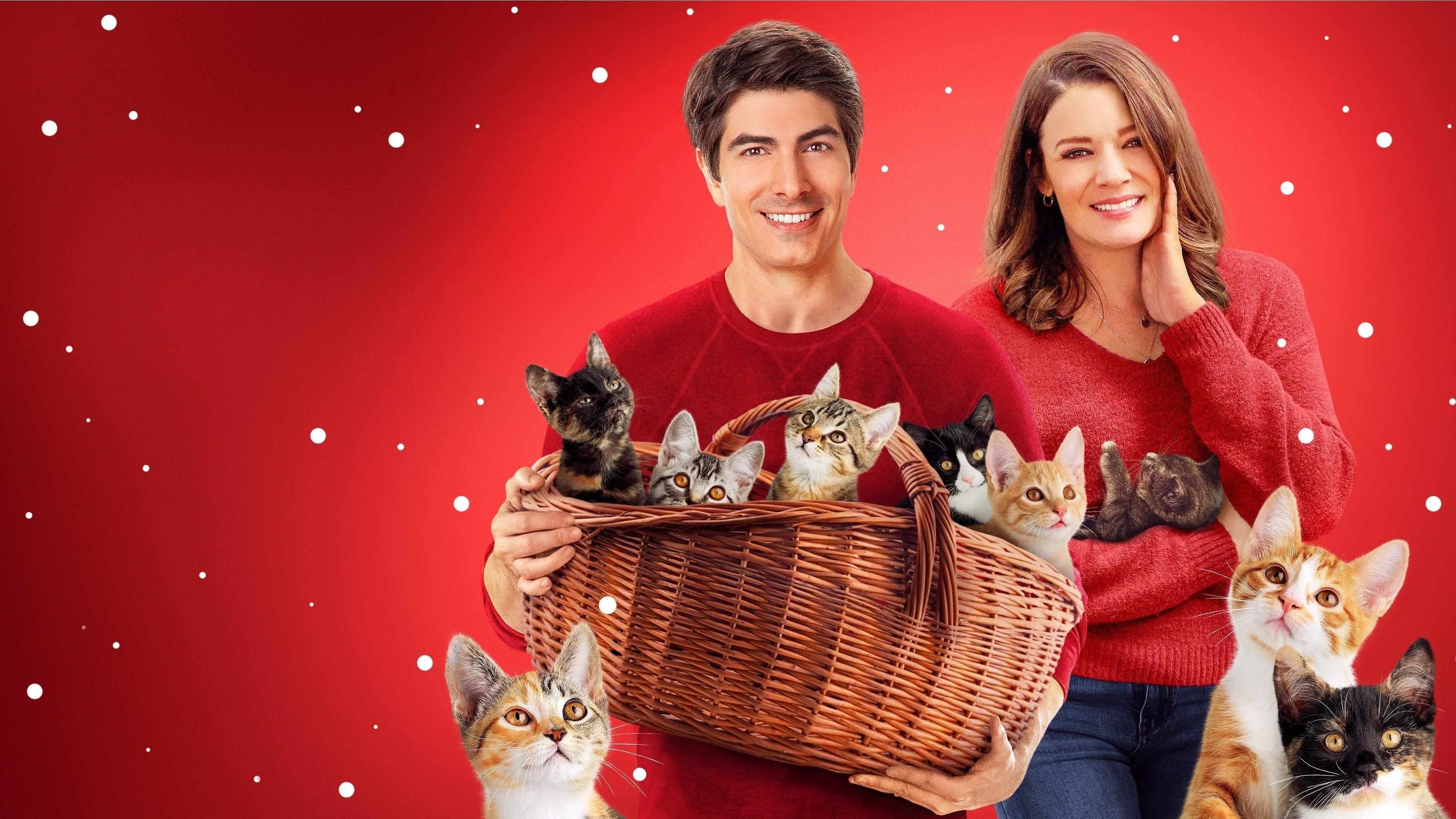 The Nine Kittens of Christmas 2021 movie scene