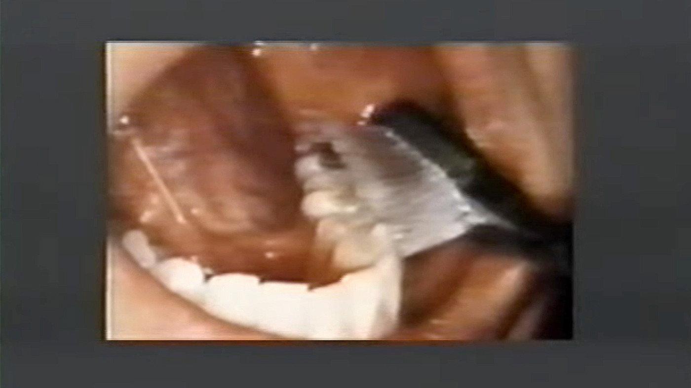 For Girls Only 1988 movie scene