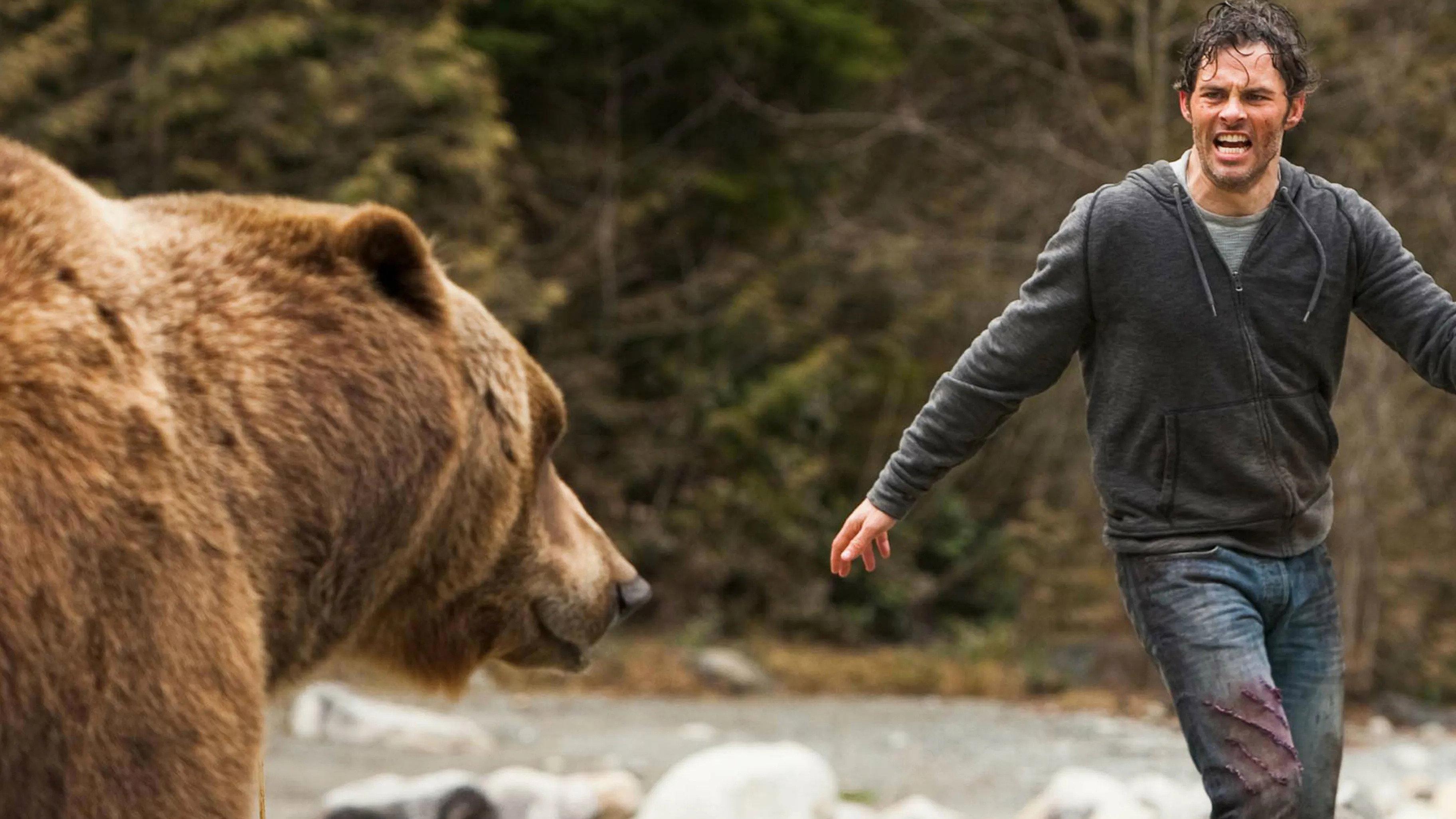 Into the Grizzly Maze 2015 movie scene