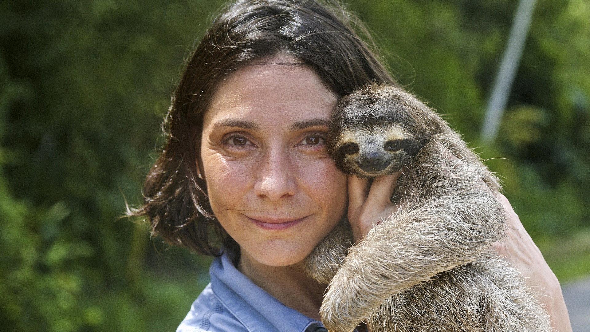 A Sloth Named Velcro 2014 movie scene
