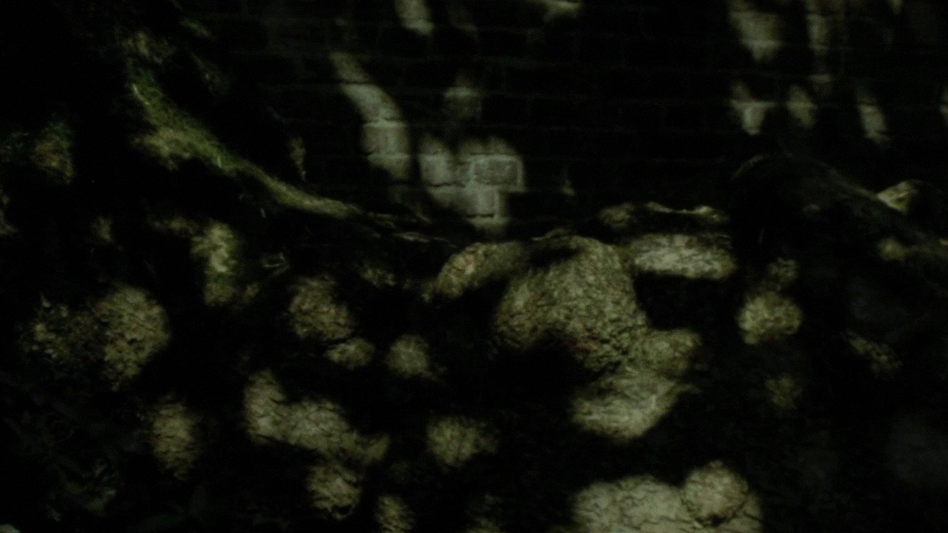 Spring Masks 2018 movie scene