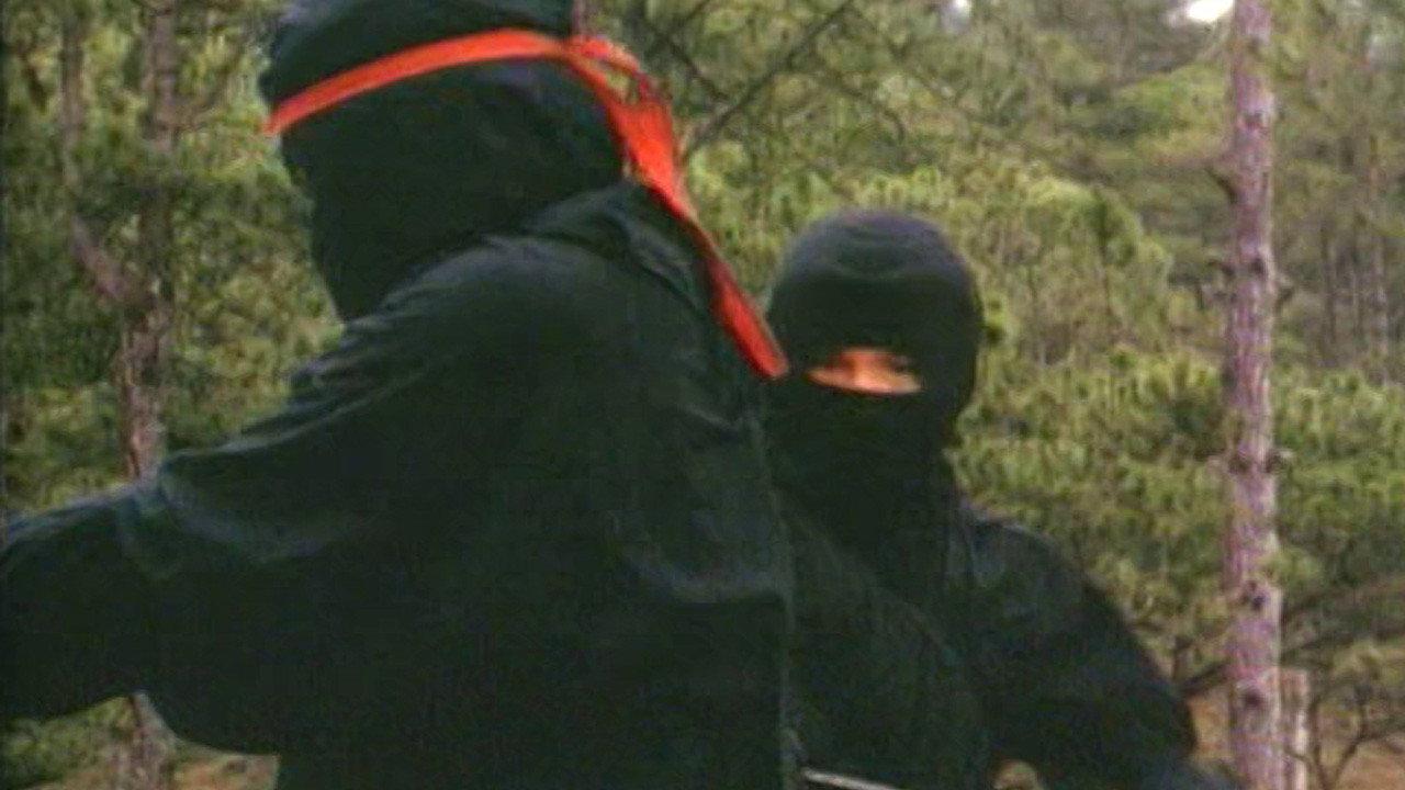 Ultimax Force 1987 movie scene