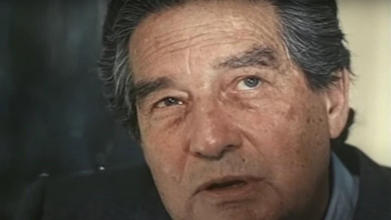 The Language of Trees 1983 movie scene