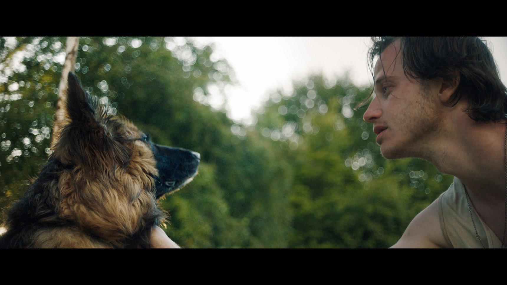 Dog Run 2023 movie scene
