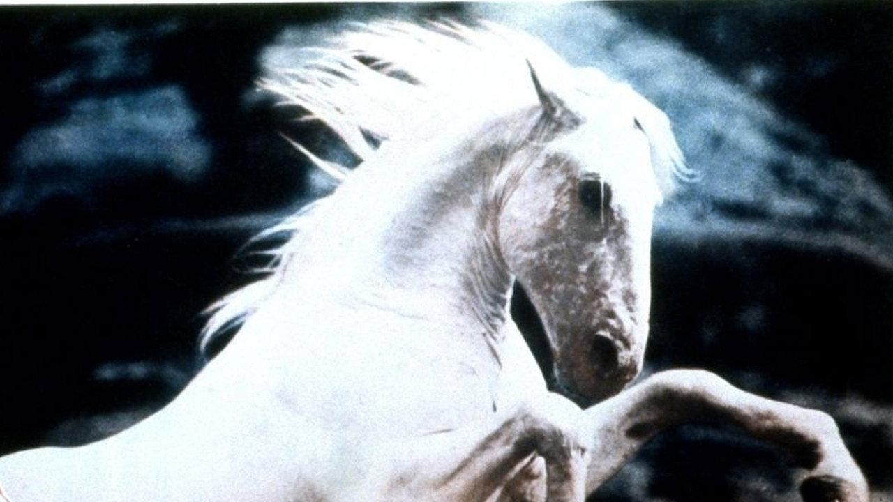 Silver Stallion 1941 movie scene