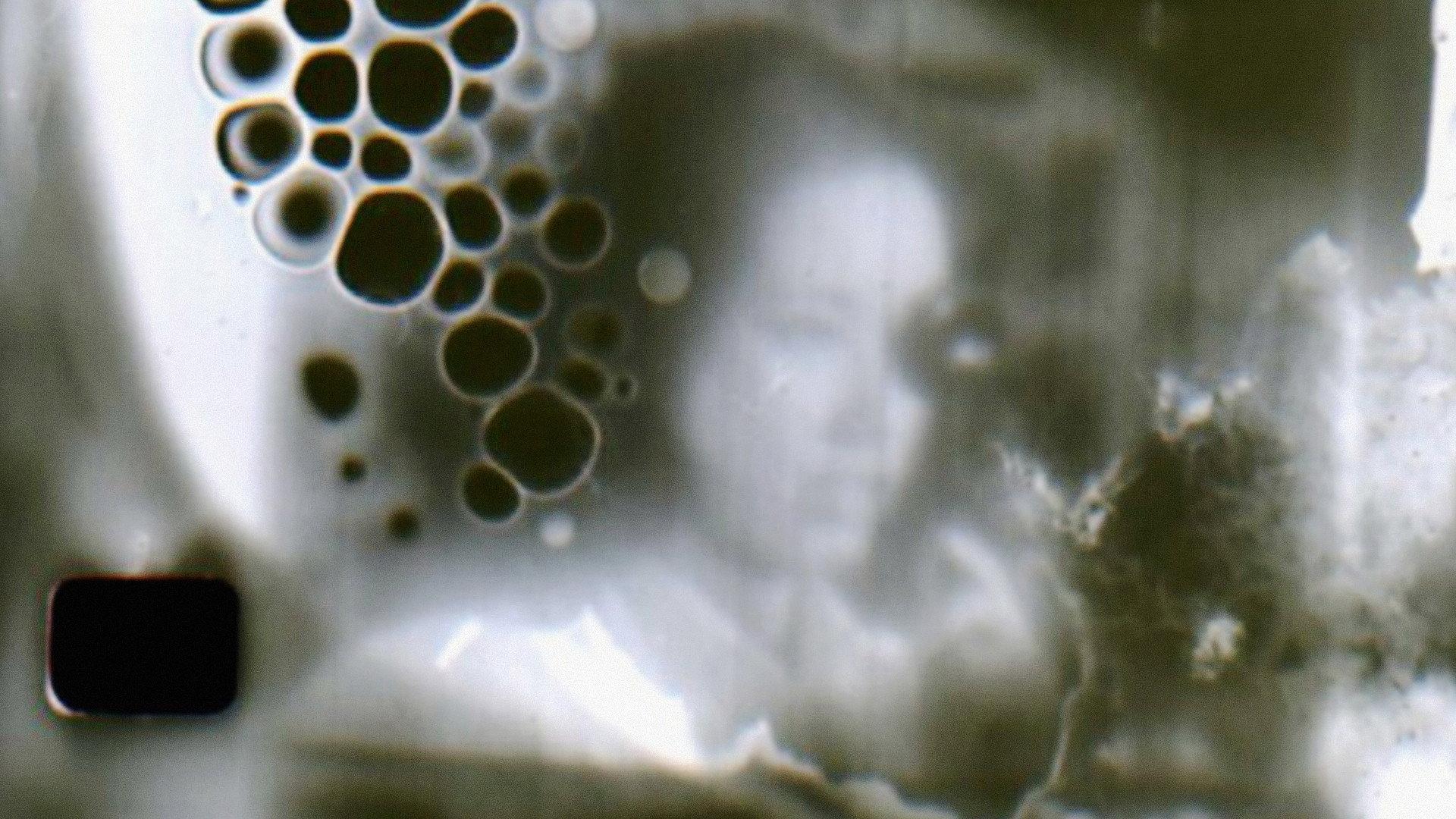 Emulsion Painter 2009 movie scene