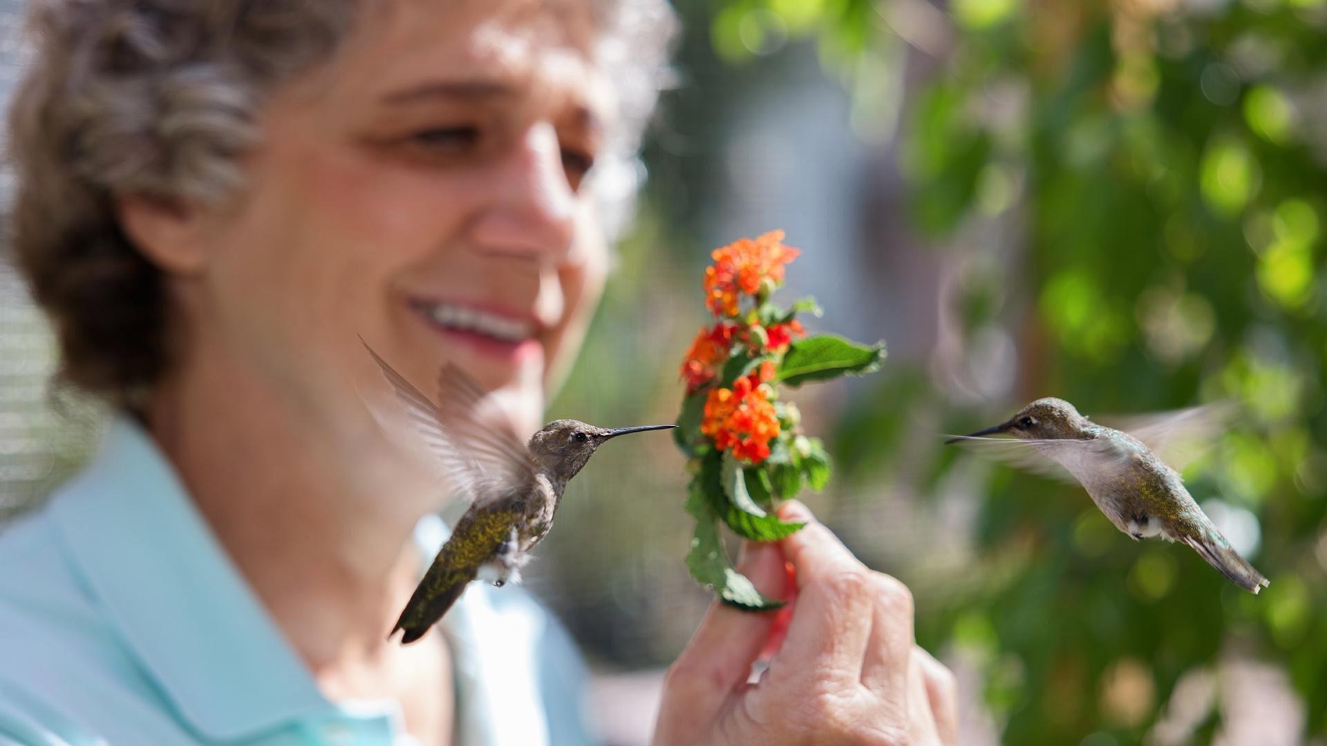 Hummingbirds of Hollywood 2025 movie scene
