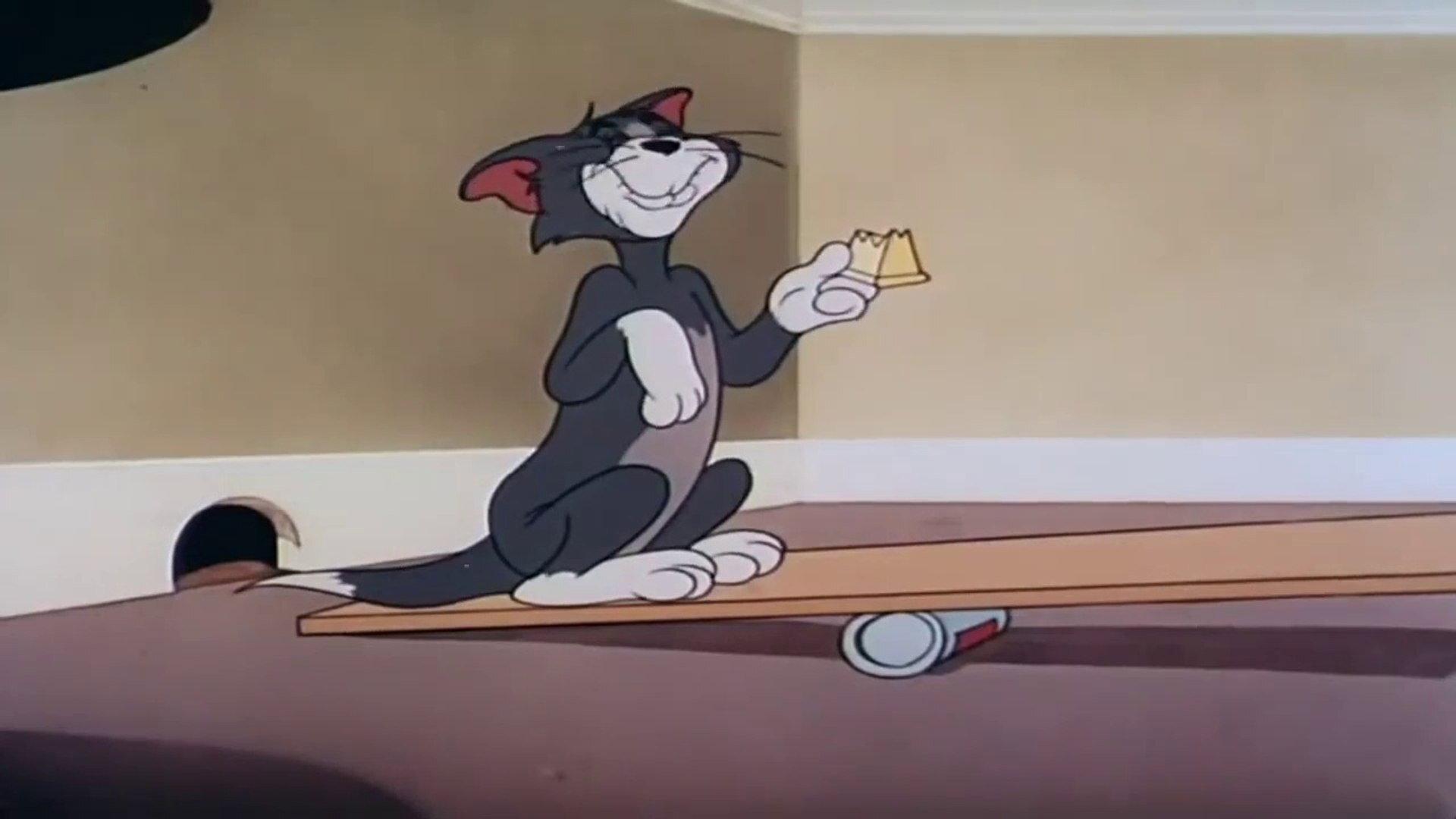 Shutter Bugged Cat 1967 movie scene