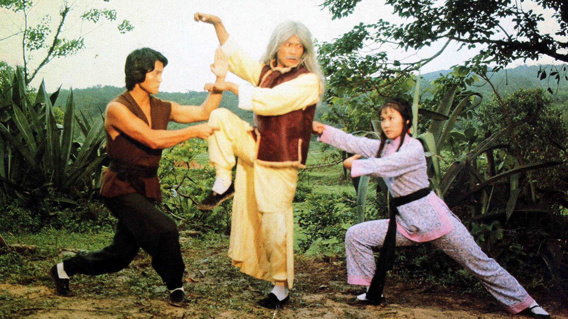 The 36 Deadly Styles 1979 movie scene