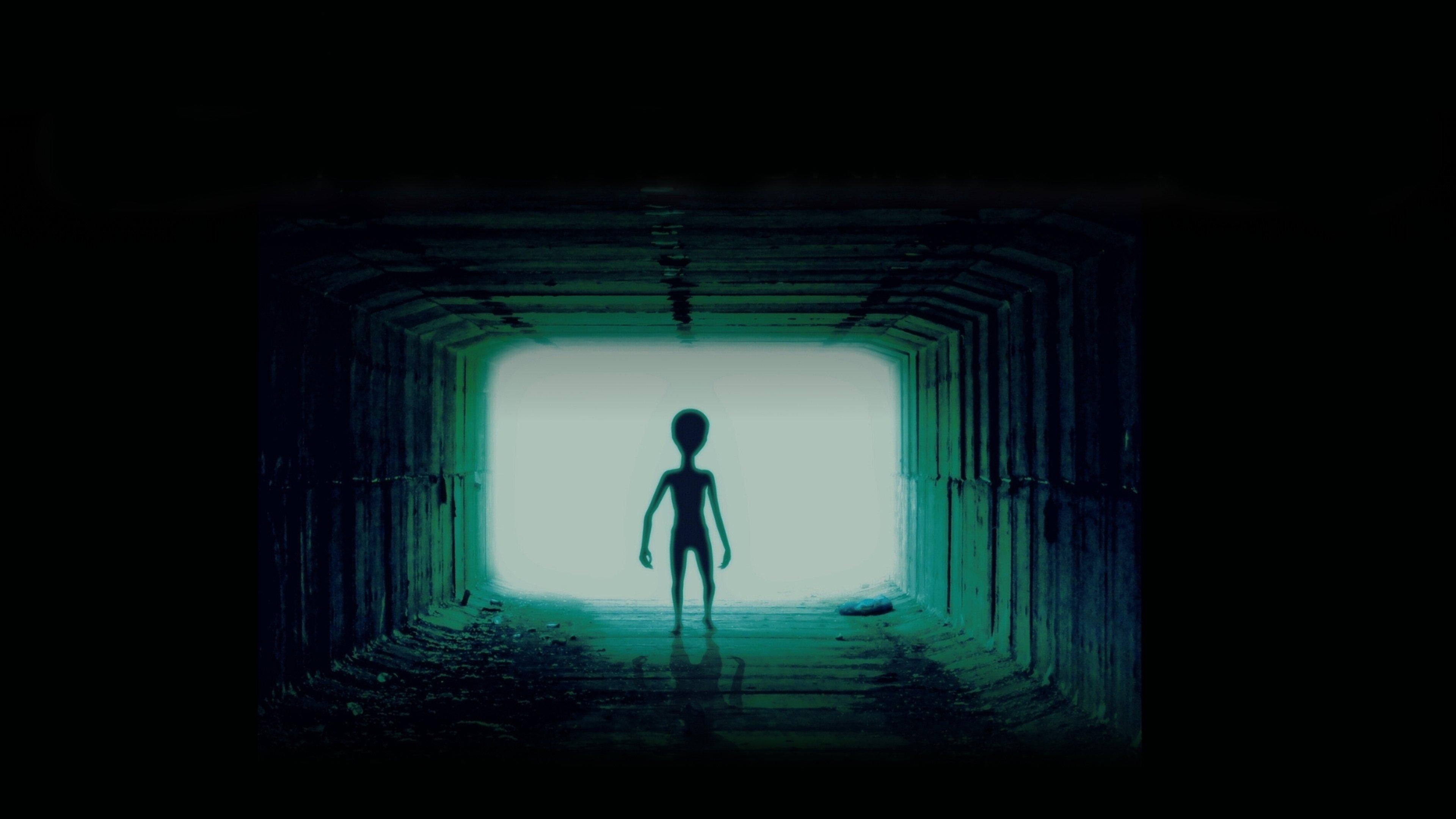 Night of the Skinwalkers 2024 movie scene