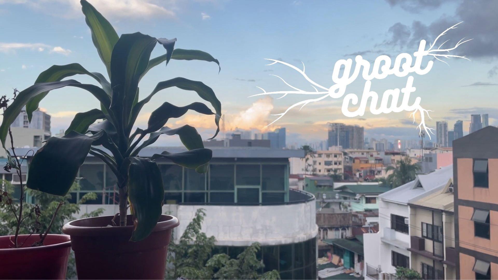 Groot Chat 2022 movie scene