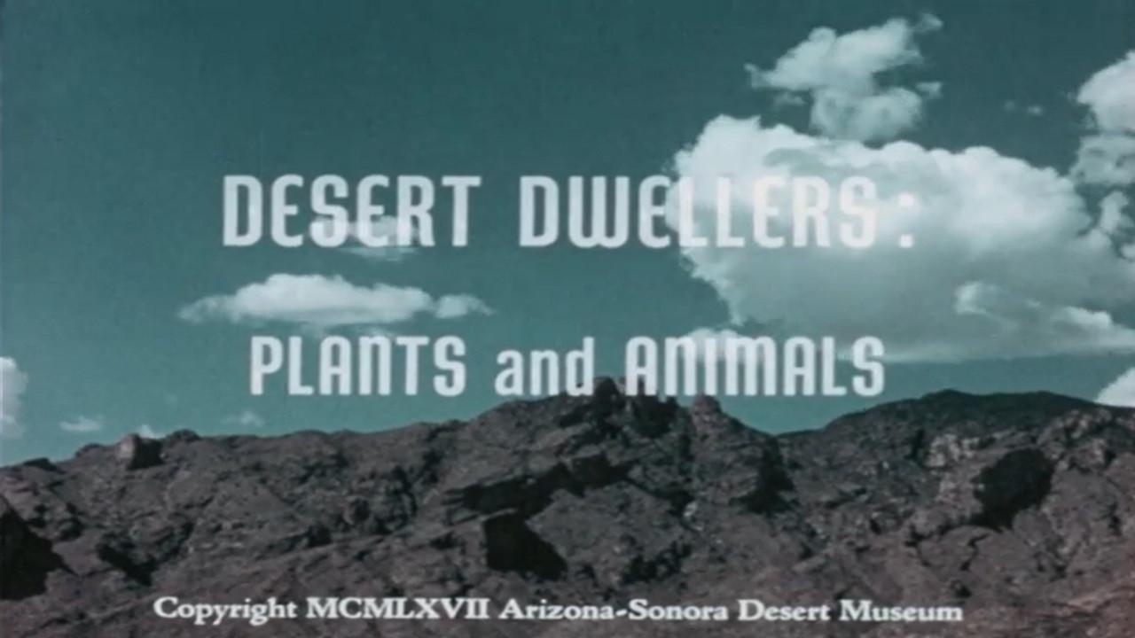 Desert Dwellers: Plants and Animals 1967 movie scene