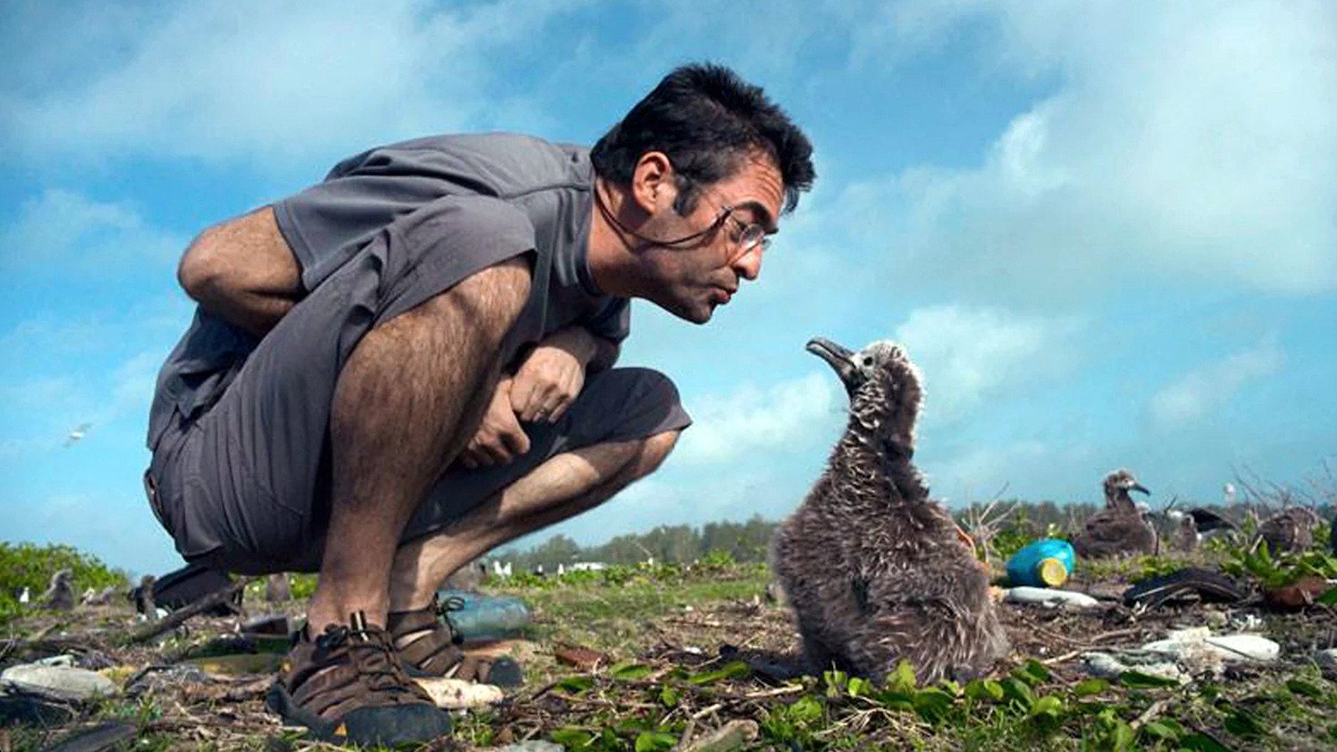 Albatross 2013 movie scene