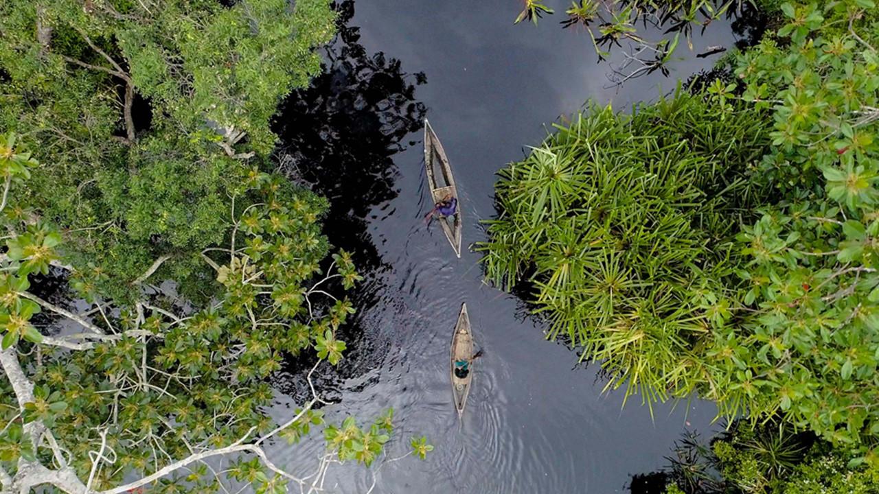 Frontier Sumatra 2019 movie scene
