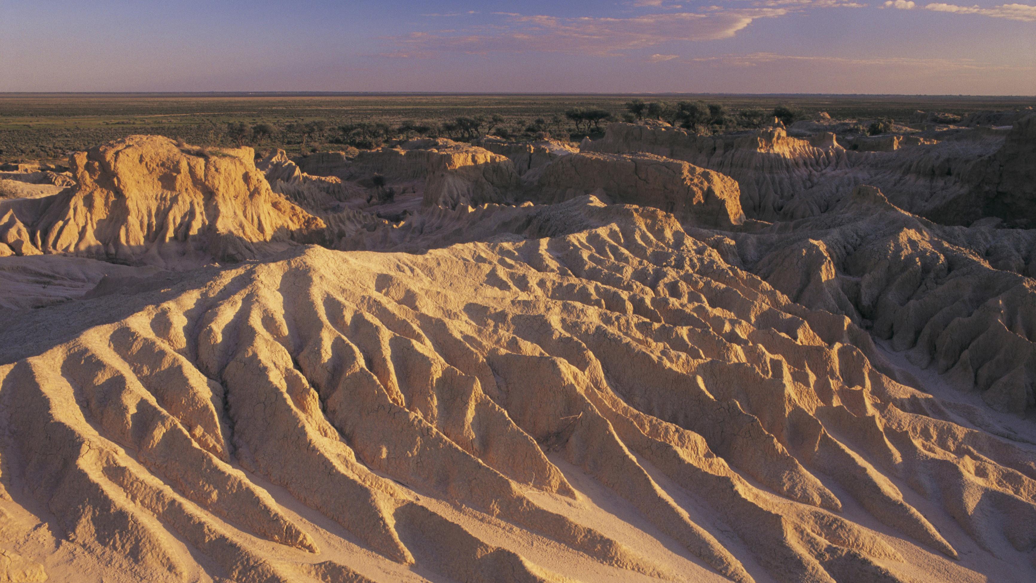 Message from Mungo 2014 movie scene