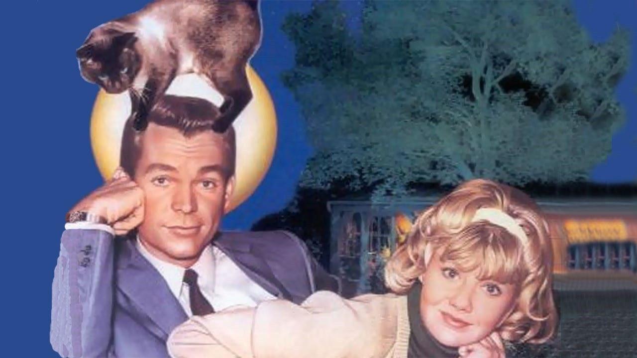 That Darn Cat! 1965 movie scene