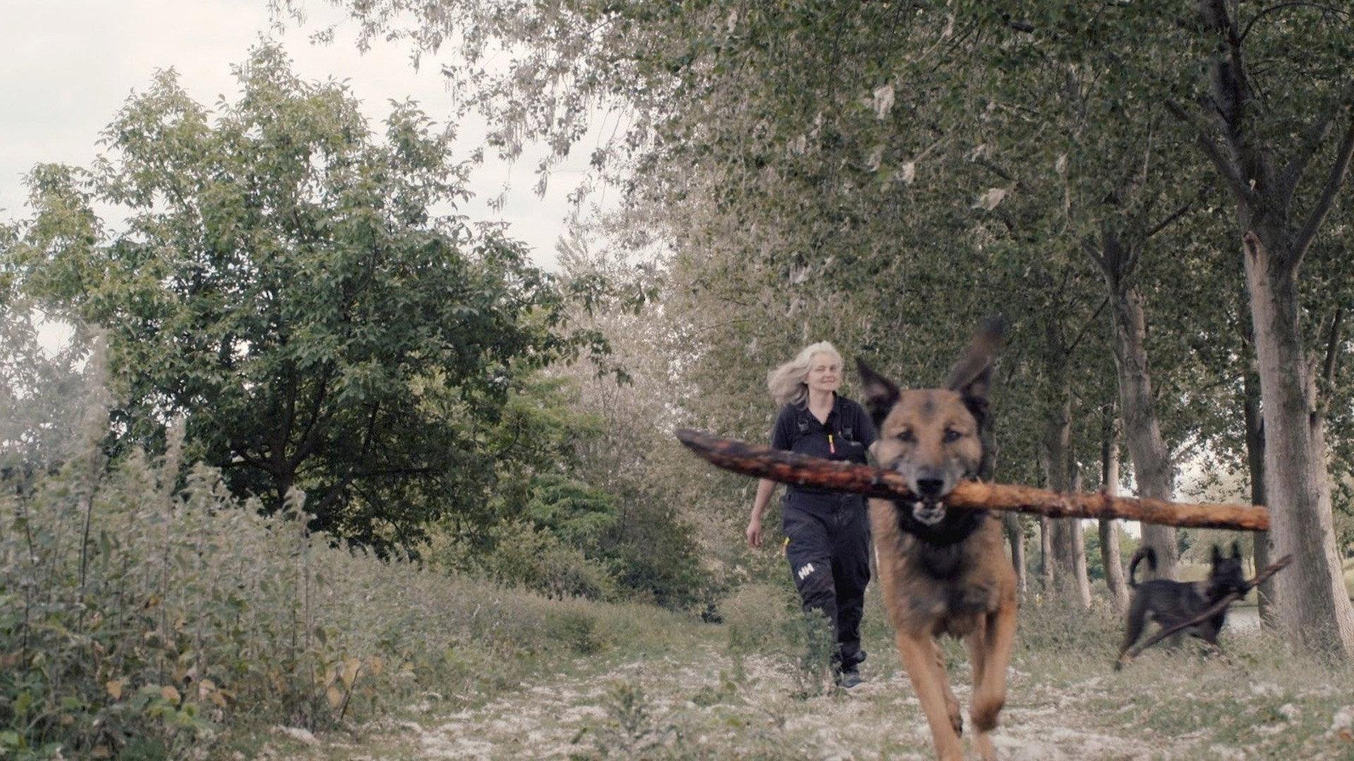 Underdog 2022 movie scene