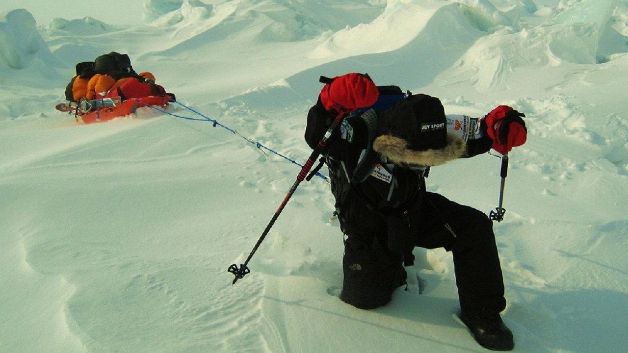 Beyond the Arctic 2008 movie scene