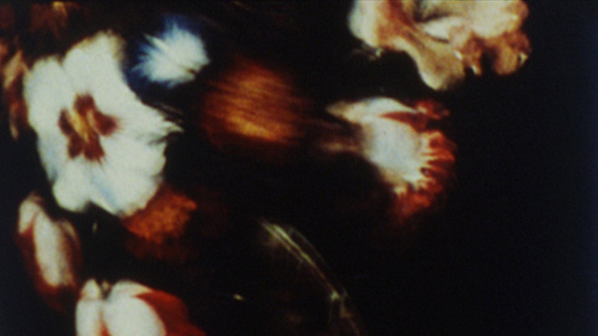The Parable of the Tulip Painter and the Fly 2008 movie scene