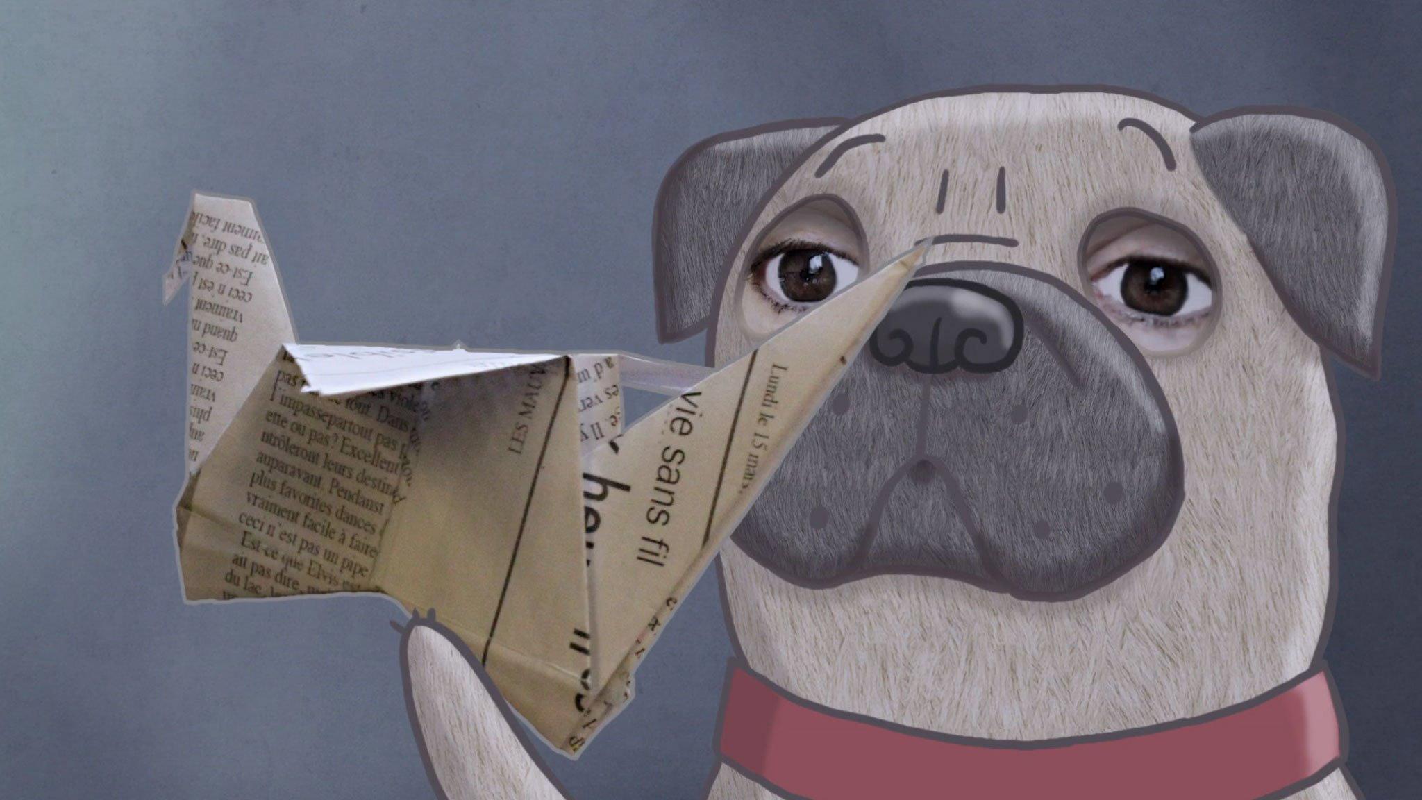 Monsieur Pug 2014 movie scene