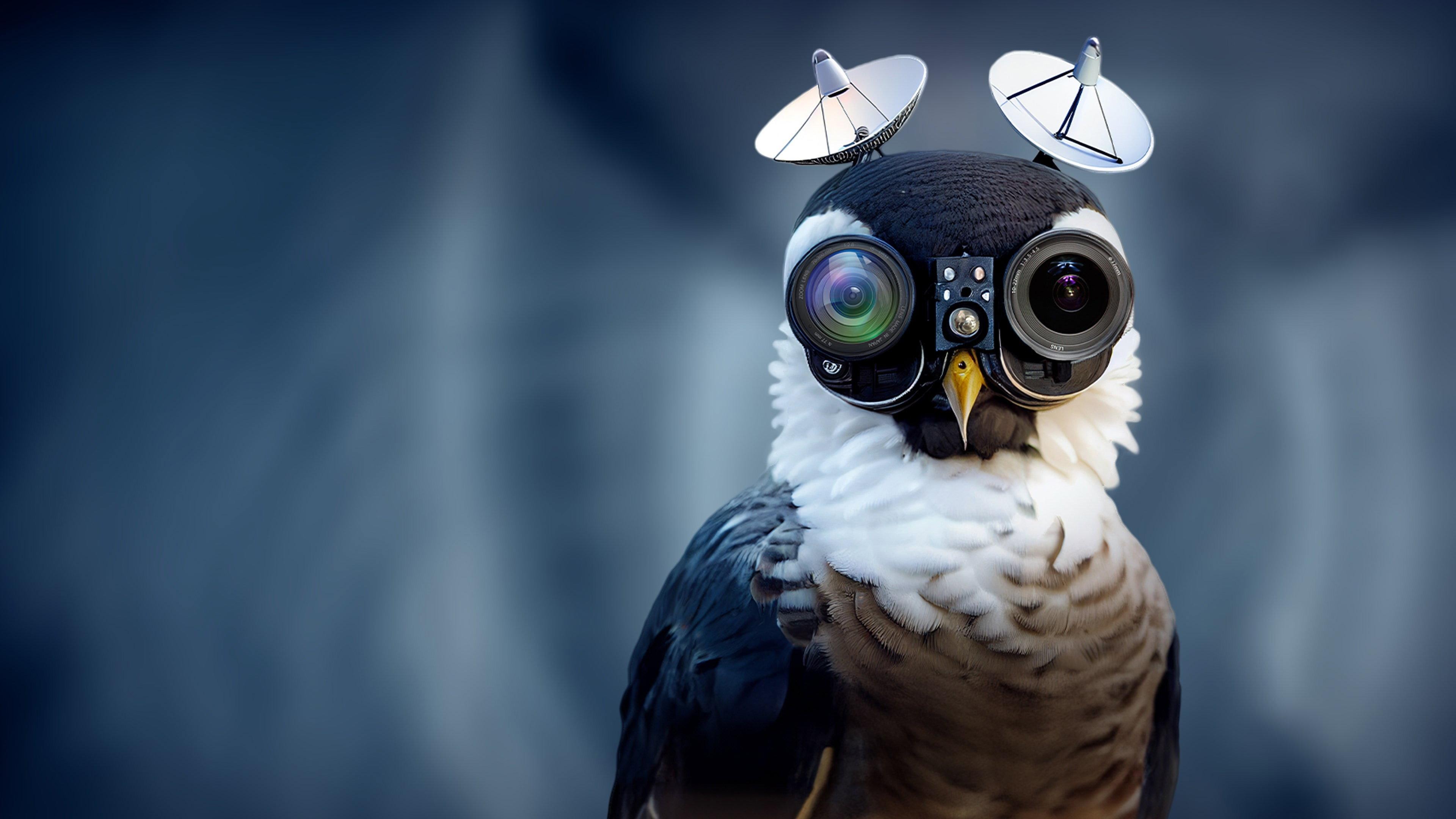 Birds Are Fake: The Conspiracy 2023 movie scene