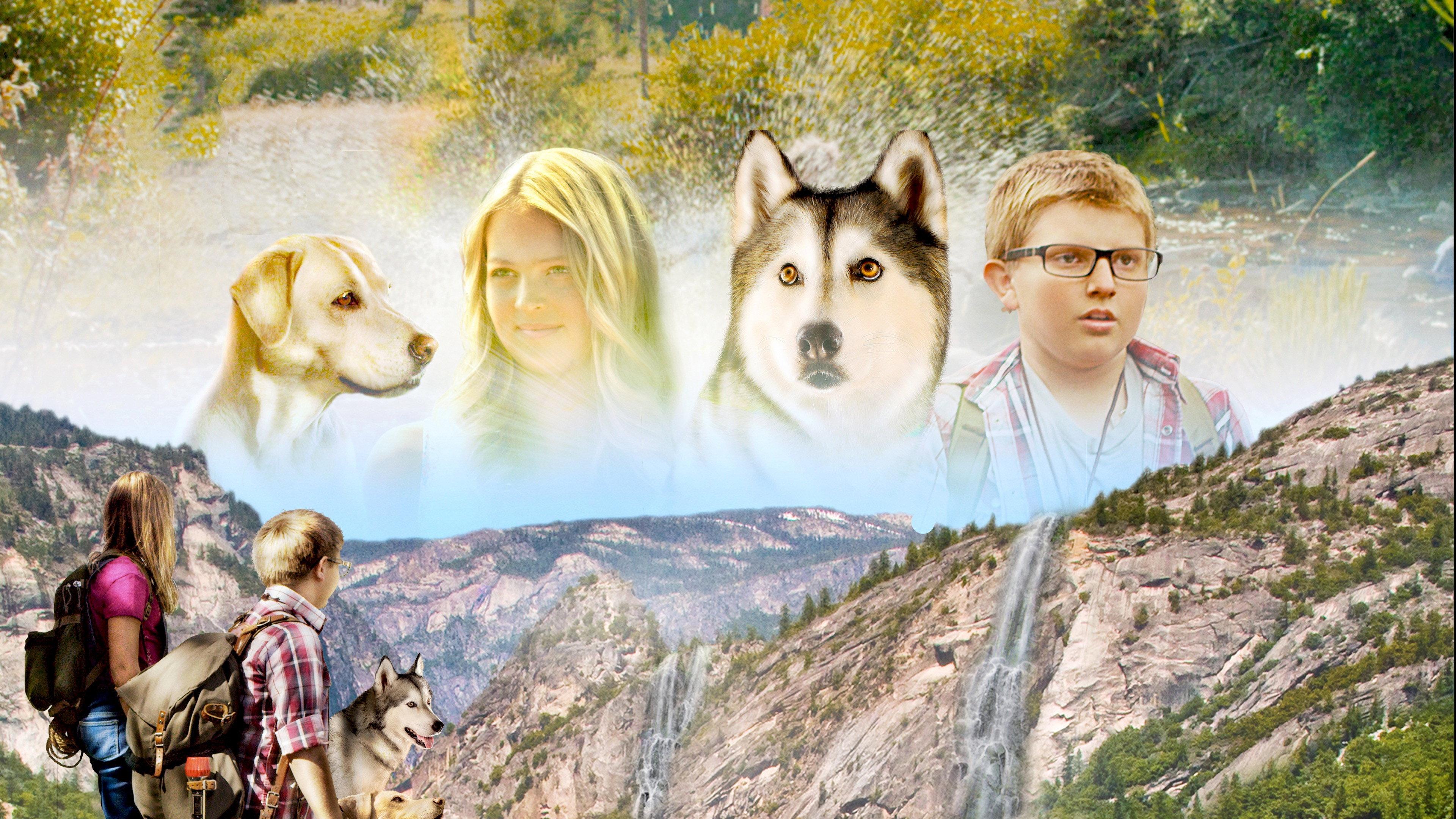 Timber the Treasure Dog 2016 movie scene