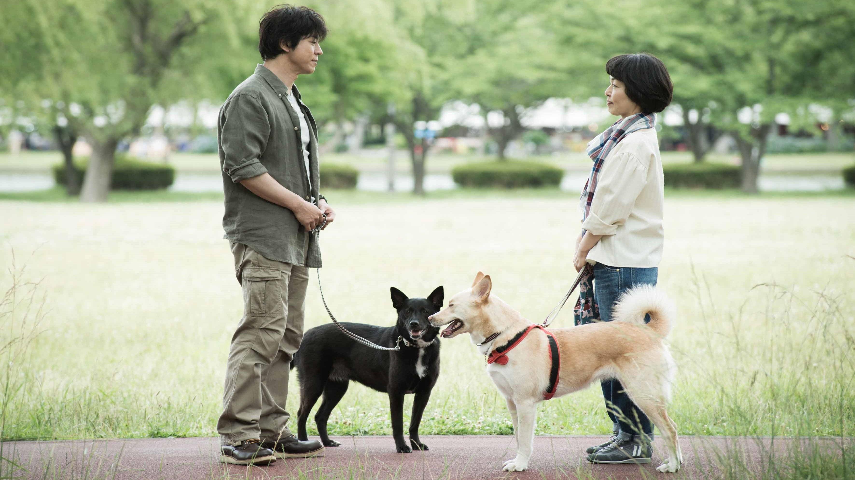Dogs Without Names 2015 movie scene