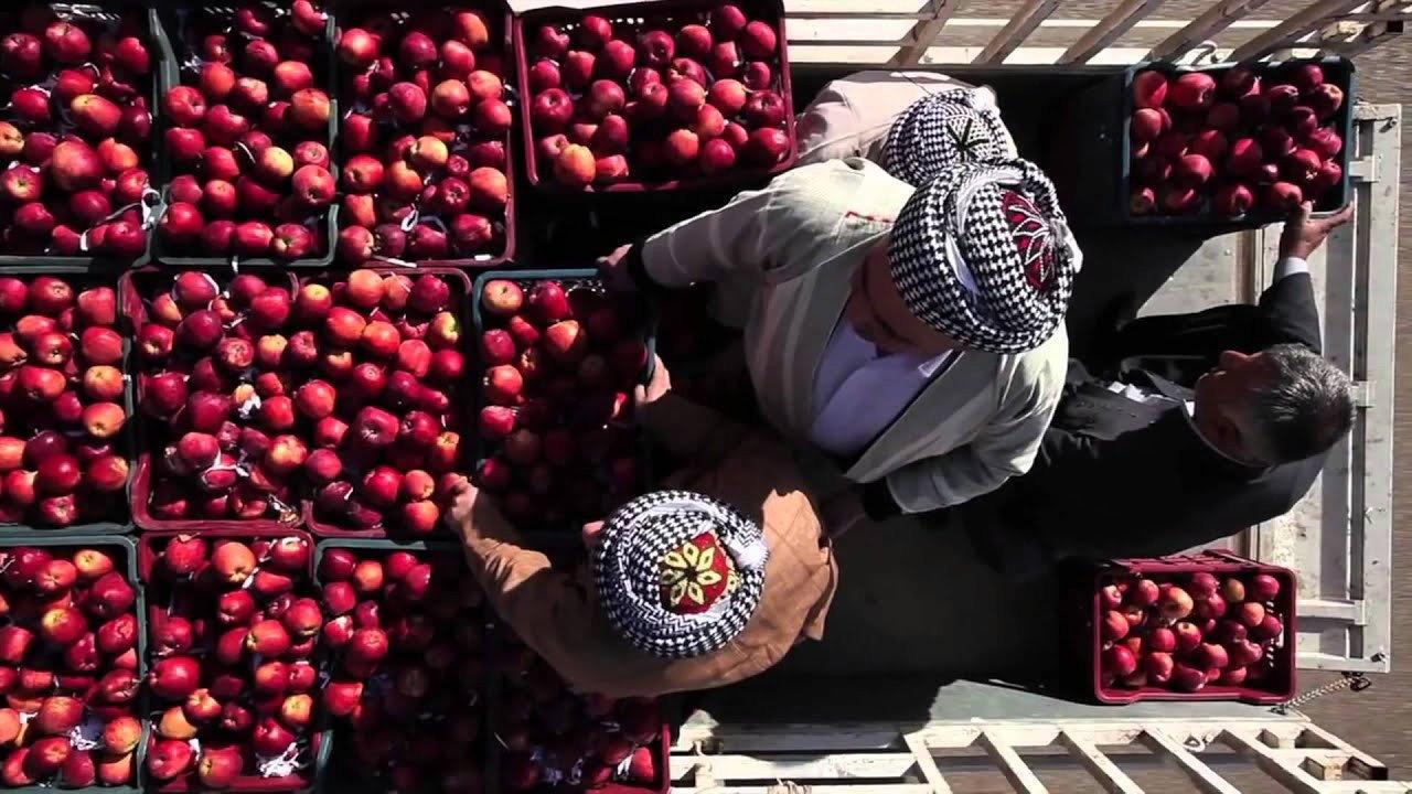 1001 Apples 2013 movie scene