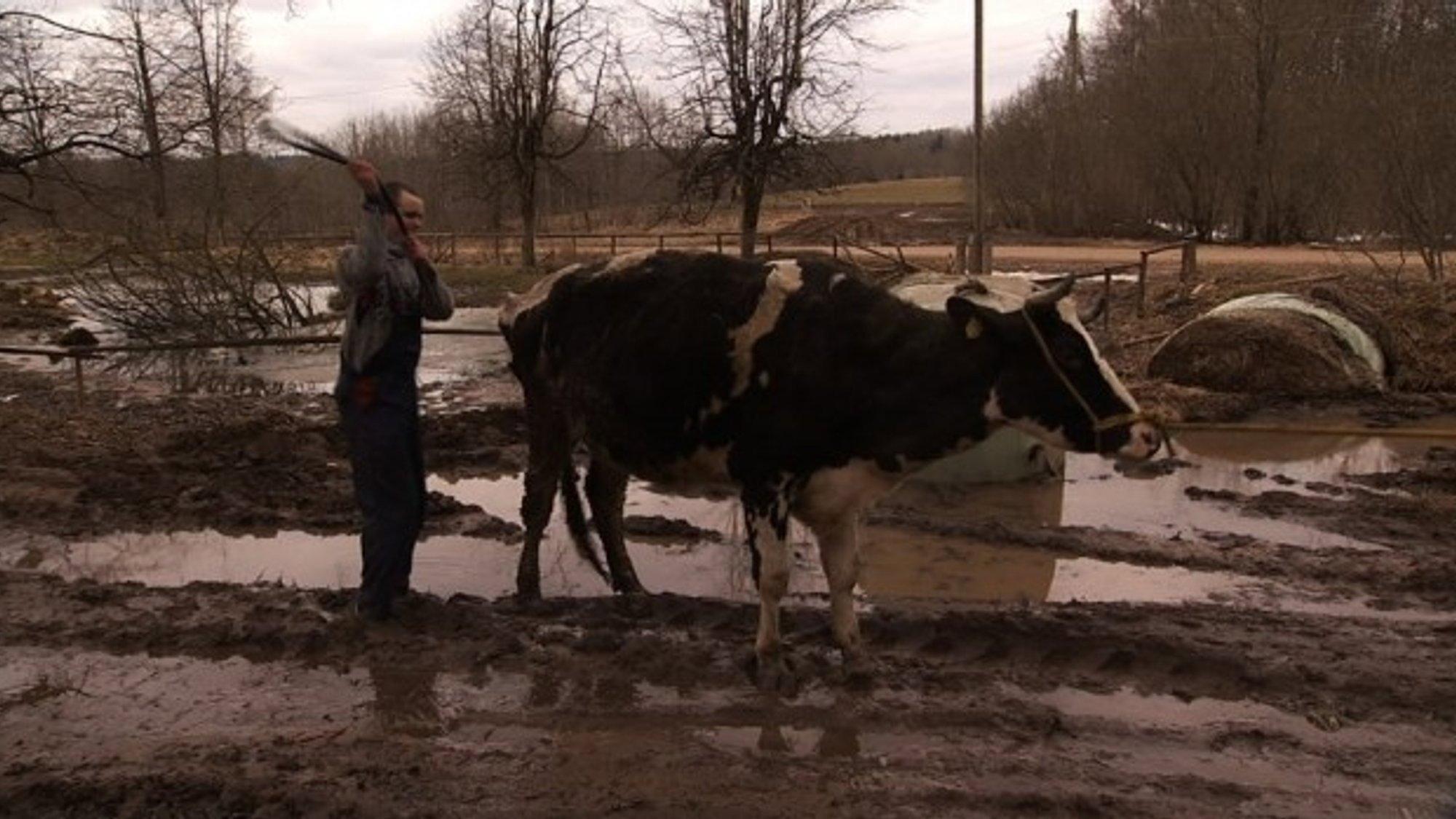 Mud 2010 movie scene