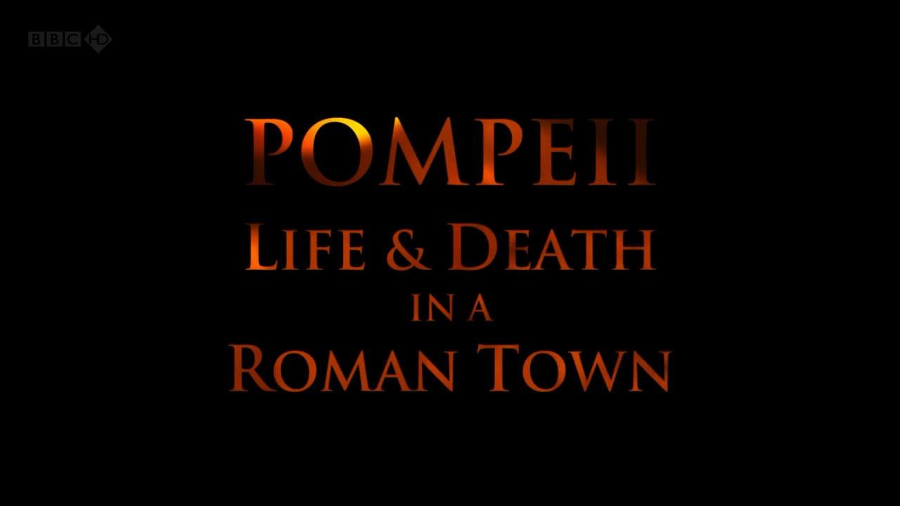 Pompeii: Life and Death in a Roman Town 2010 movie scene