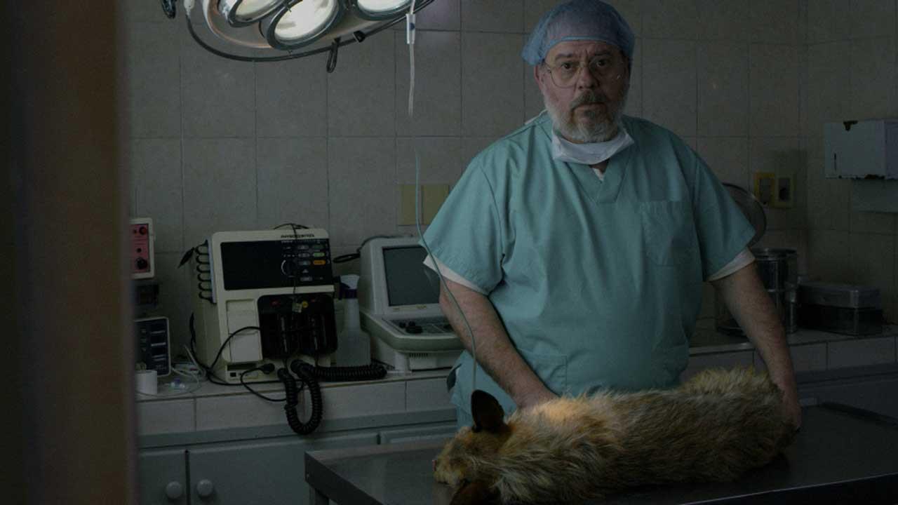 A Dog's Death 2019 movie scene