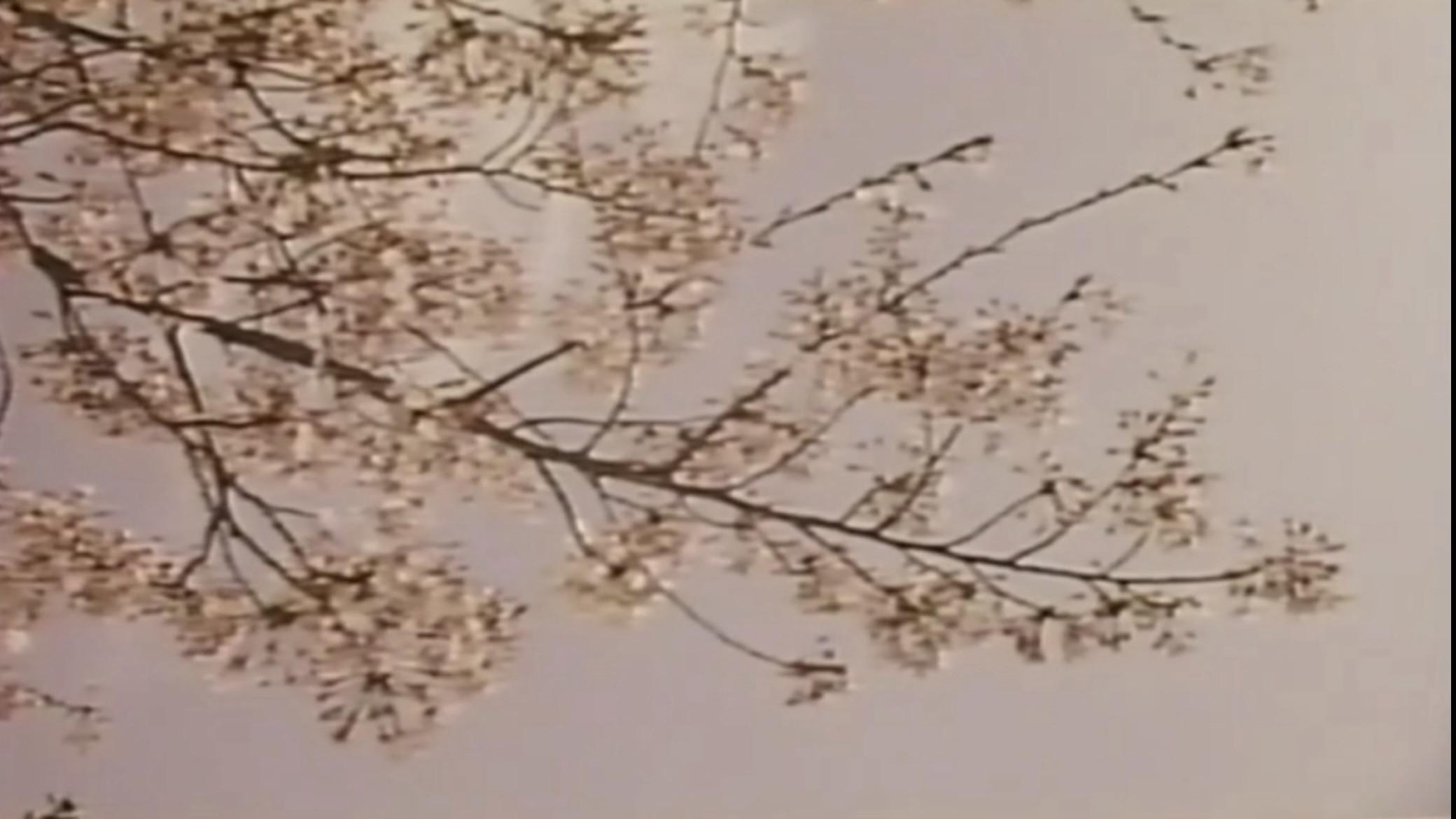 Wakaoku-sama: Futomono-biraki 1994 movie scene
