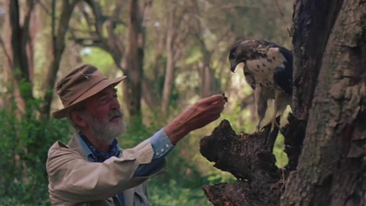 A Tale of Africa 1980 movie scene