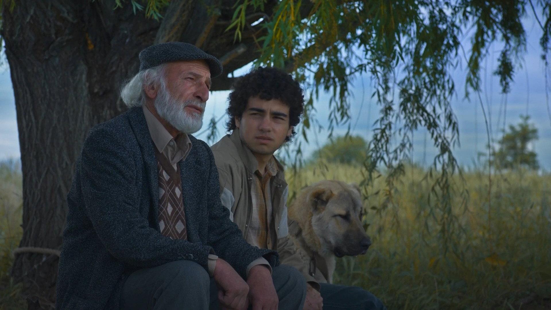 Island Ararat 2025 movie scene
